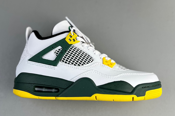 Air Jordan 4 Retro 66